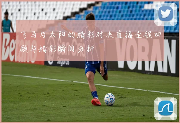 飞马与太阳的精彩对决直播全程回顾与精彩瞬间分析