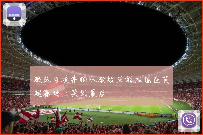 狼队与埃弗顿队激战正酣谁能在英超赛场上笑到最后